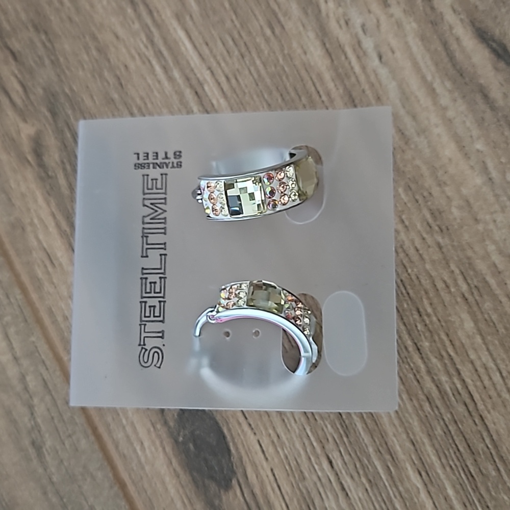 Stainless Steel earrings